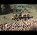 Teljes körű erdő- gazdálkodás